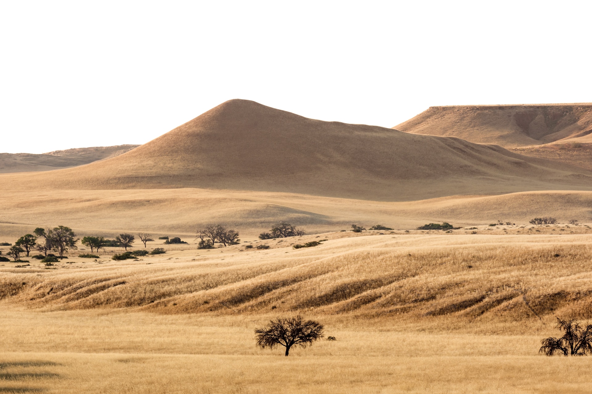 location scouting namibia